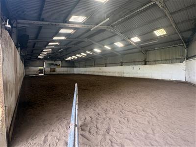 Picture 17